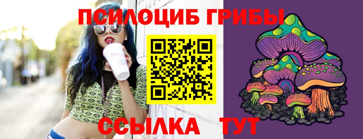 Галлюциногенные грибы Psilocybe  Вход с VPN  Нарткала 