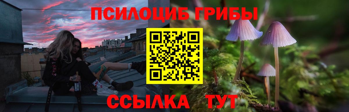 Псилоцибиновые грибы ЛСД Нарткала